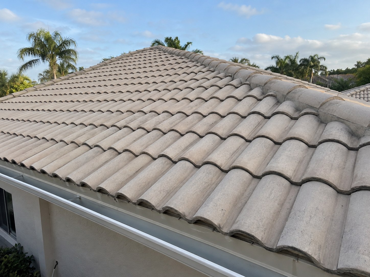 Illustration of a concrete tile roof on a Florida home