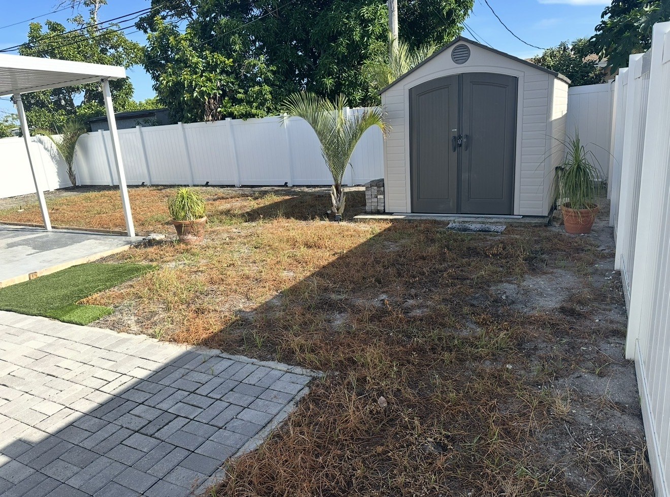 Turf project, photo 1 of 4: original patchy lawn beside a shed and covered patio