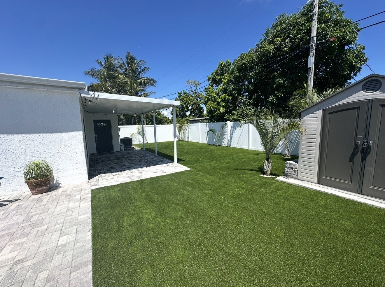 Turf project, photo 4 of 4: finished artificial lawn around the shed, palms, and paved patio